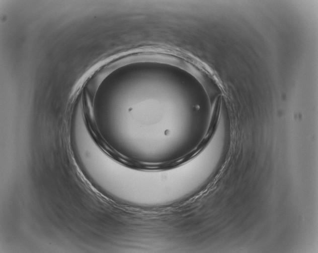 X0000086021504200703231132
