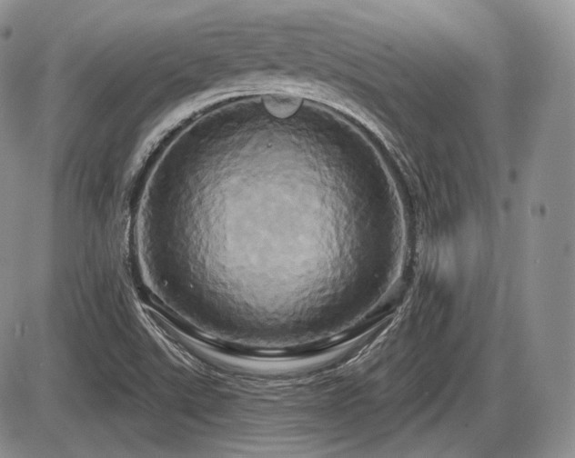 X0000086021507200703231132