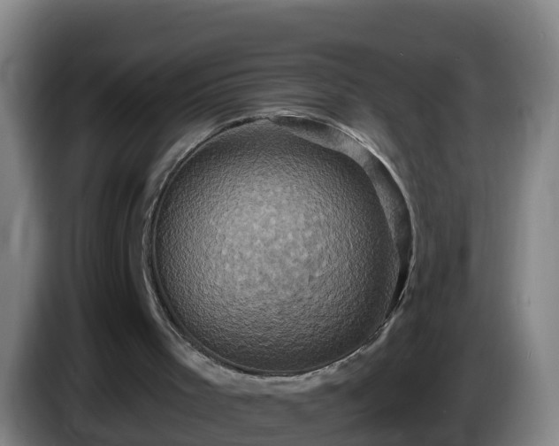 X0000086020001200703301042