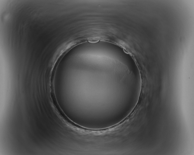 X0000086020002200703301042