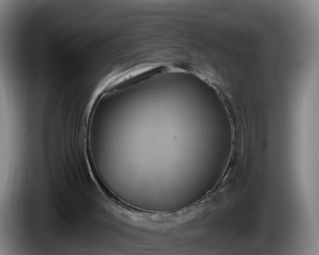 X0000086020003200703301042