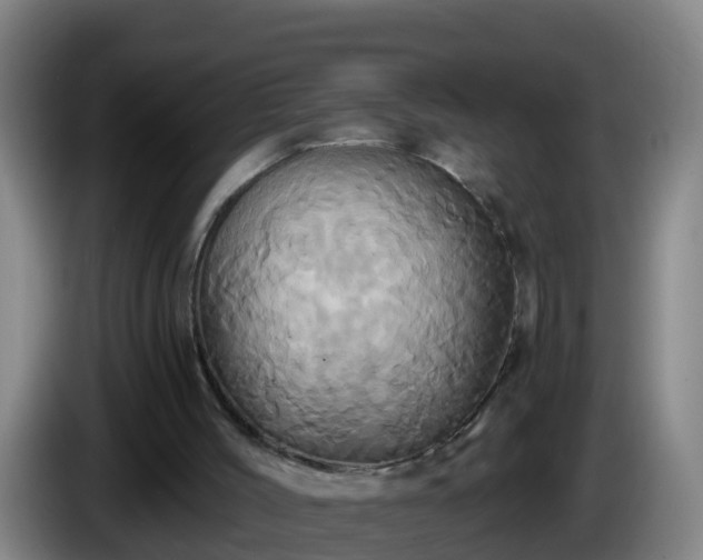 X0000086020004200703301042