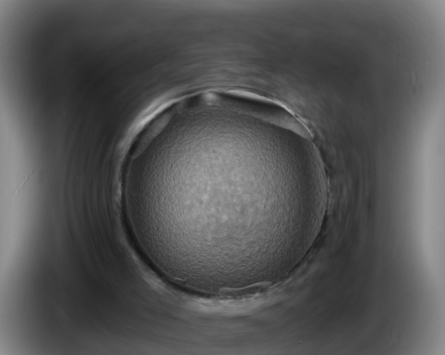 X0000086020005200703301042