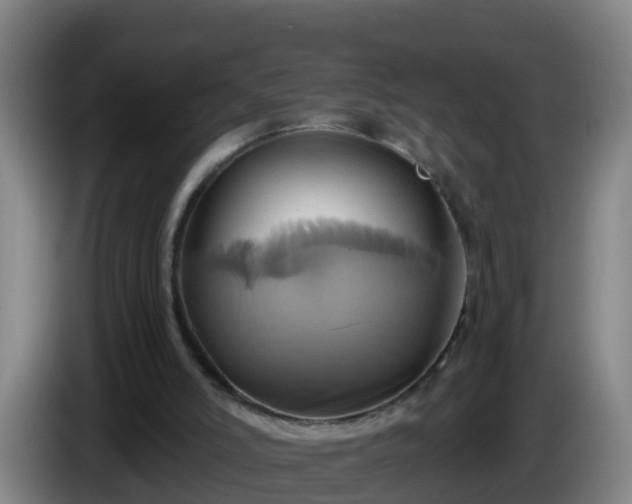 X0000086020006200703301042