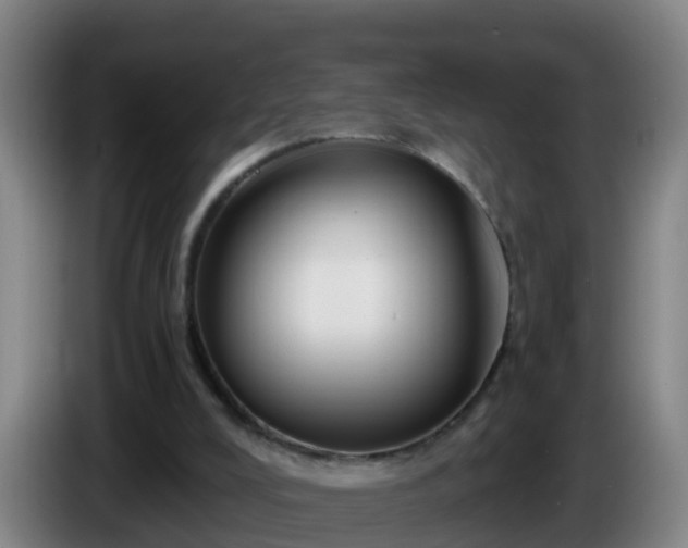 X0000086020008200703301042