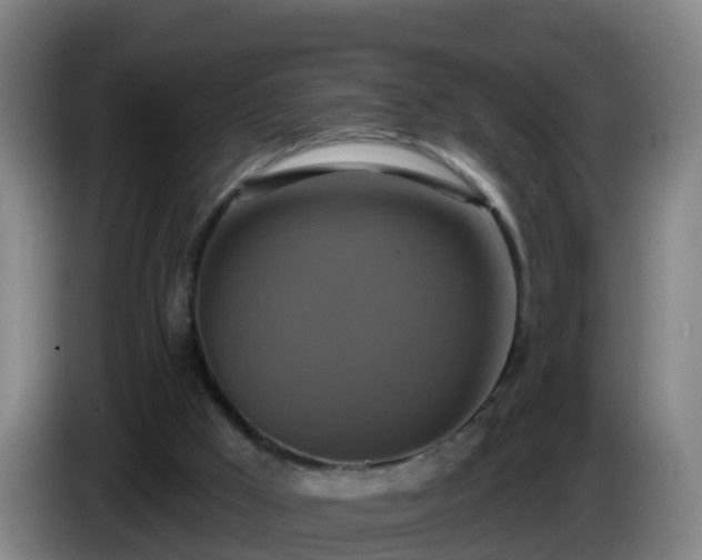 X0000086020009200703301042