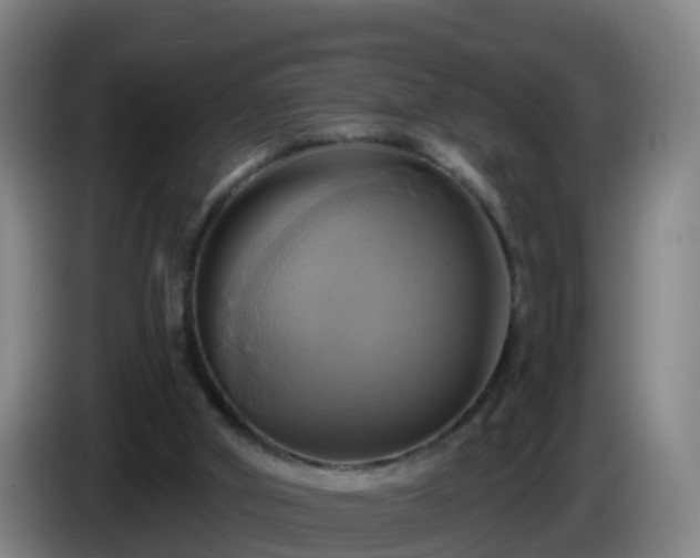 X0000086020010200703301042