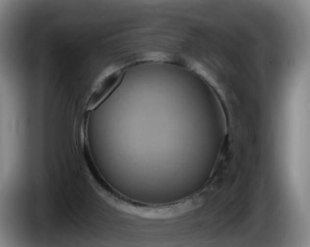 X0000086020011200703301042