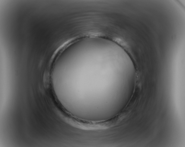 X0000086020012200703301042