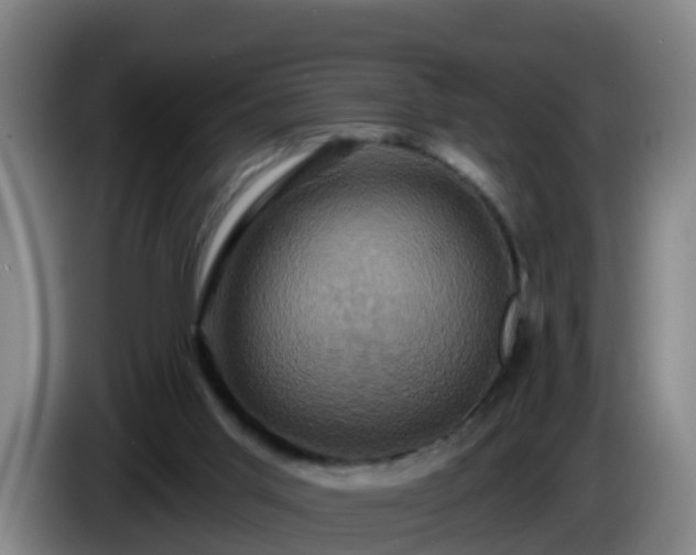 X0000086020013200703301042