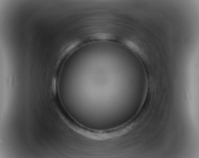 X0000086020014200703301042