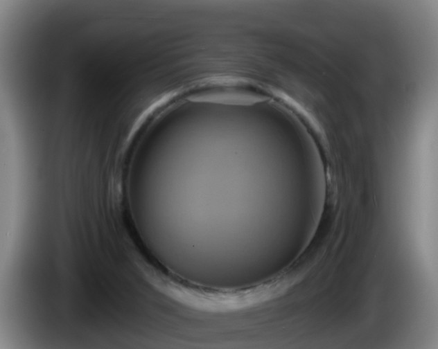 X0000086020015200703301042