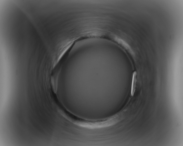 X0000086020017200703301042