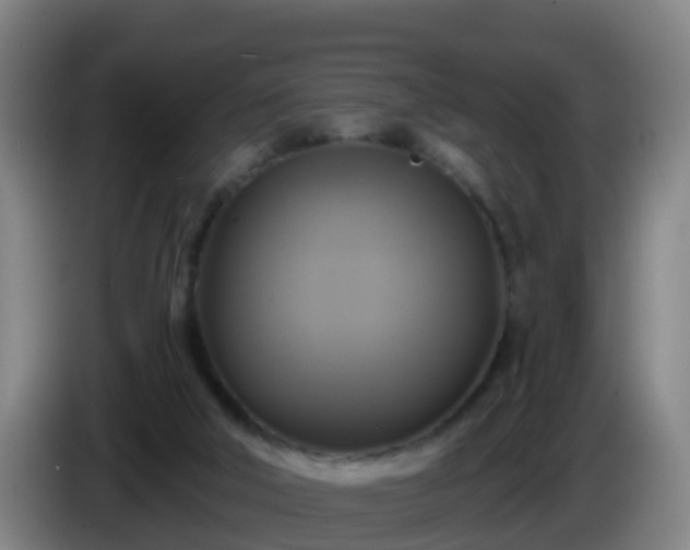 X0000086020018200703301042