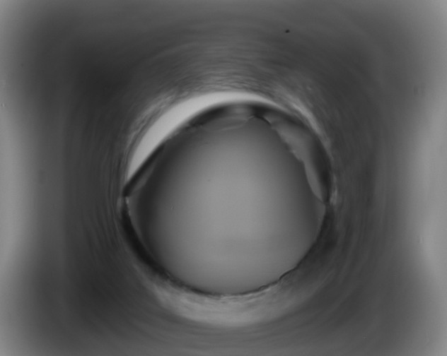 X0000086020019200703301042