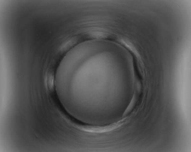 X0000086020021200703301042
