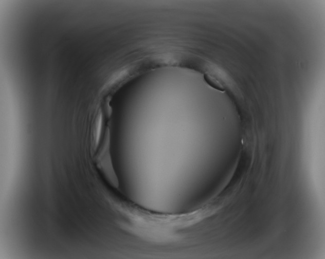 X0000086020023200703301042