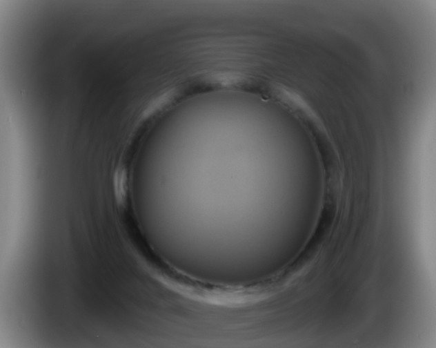 X0000086020024200703301042