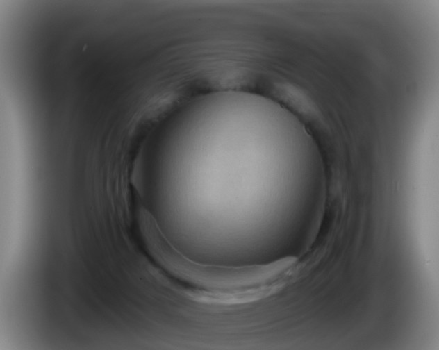 X0000086020025200703301042