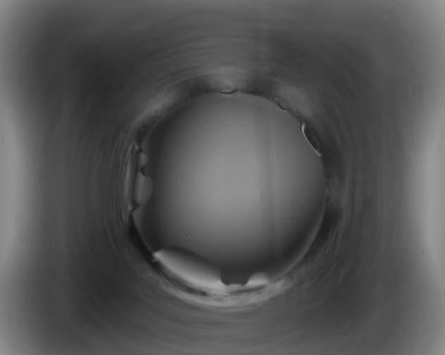 X0000086020027200703301042