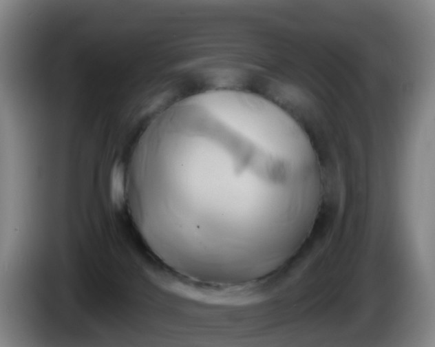 X0000086020028200703301042