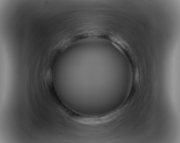 X0000086020029200703301042