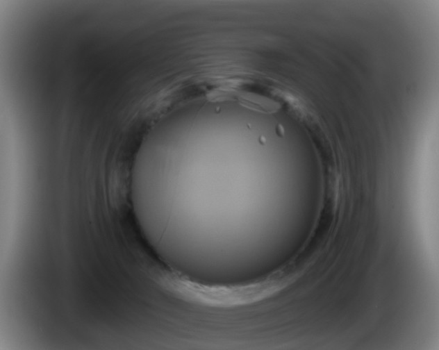 X0000086020030200703301042