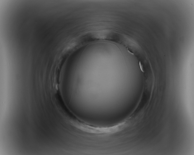 X0000086020031200703301042