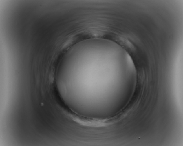 X0000086020032200703301042