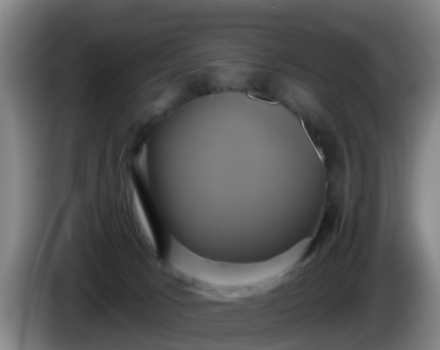 X0000086020033200703301042