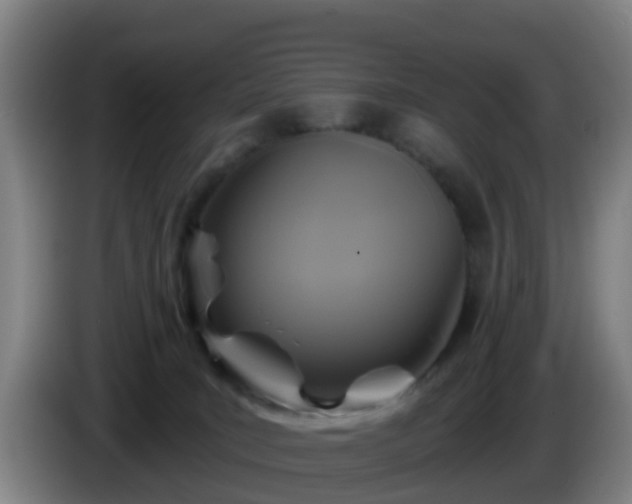 X0000086020035200703301042