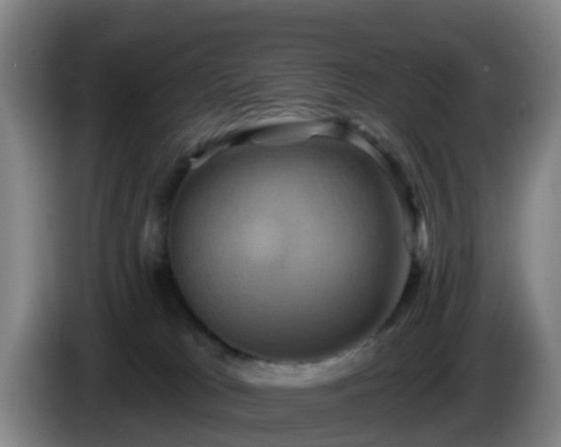 X0000086020037200703301042