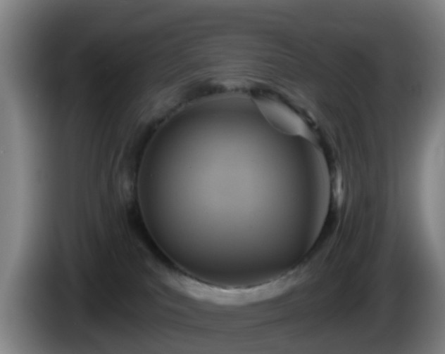 X0000086020039200703301042