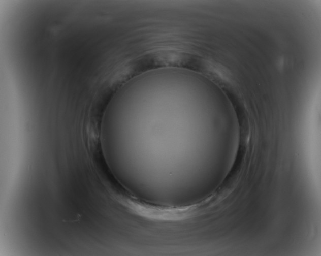 X0000086020040200703301042