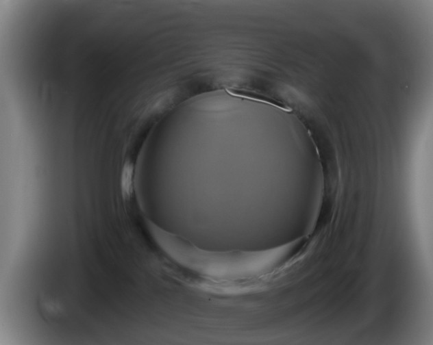 X0000086020041200703301042