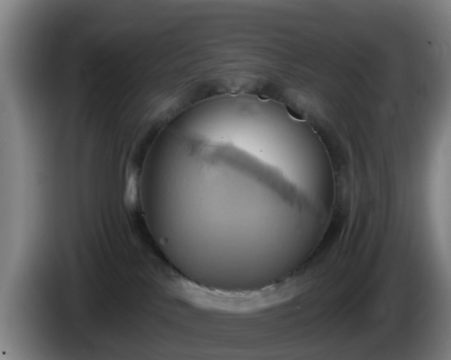 X0000086020042200703301042