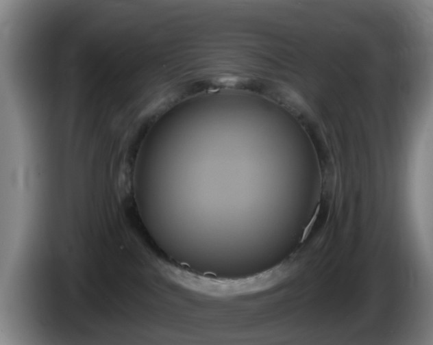 X0000086020043200703301042