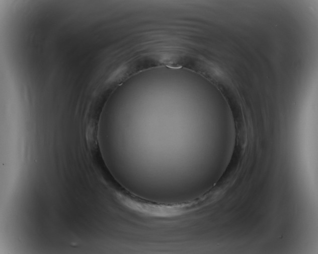 X0000086020044200703301042