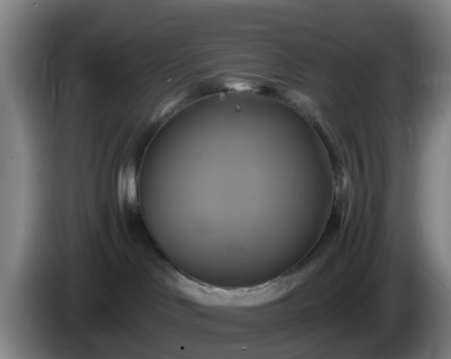 X0000086020046200703301042