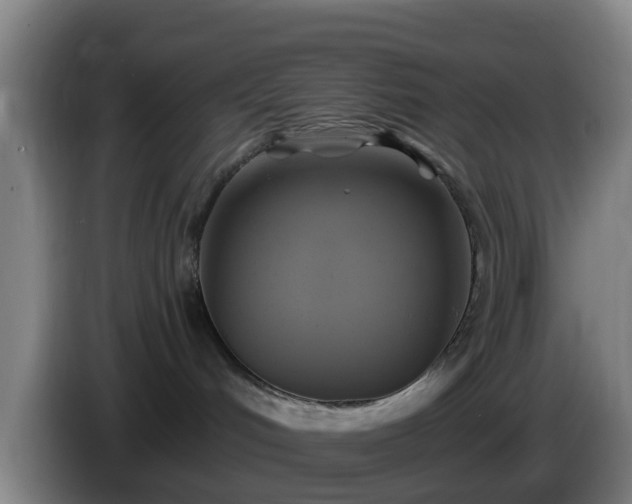 X0000086020048200703301042