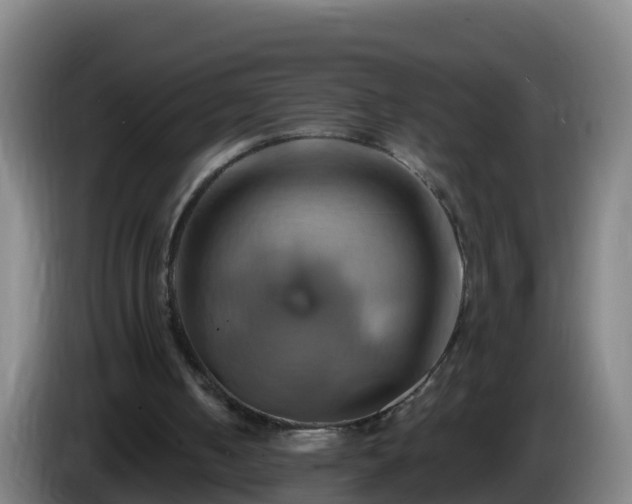 X0000086020050200703301041