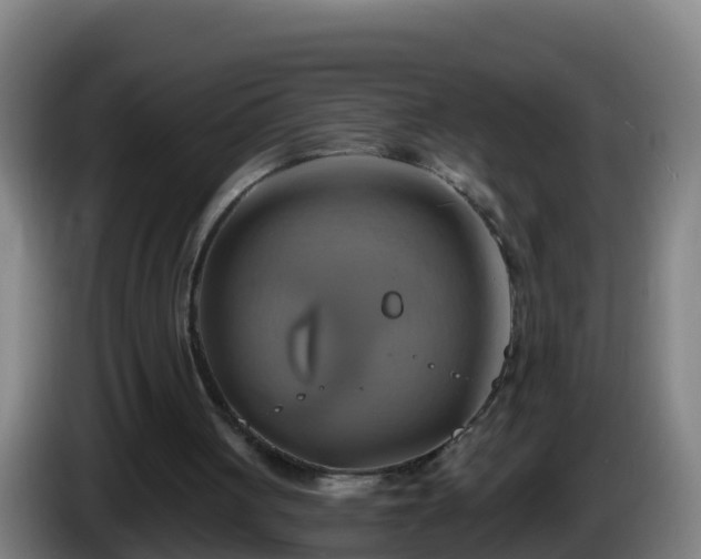 X0000086020051200703301041