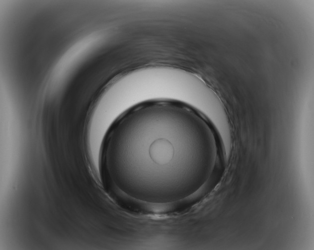X0000086020052200703301041