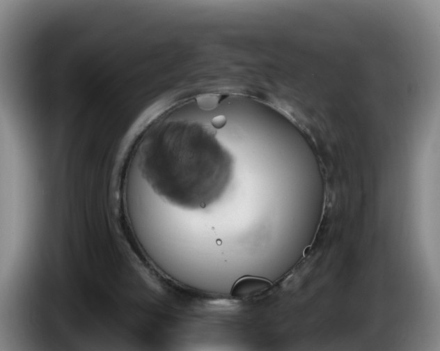 X0000086020053200703301041