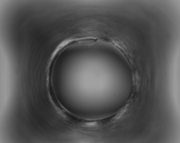 X0000086020054200703301041