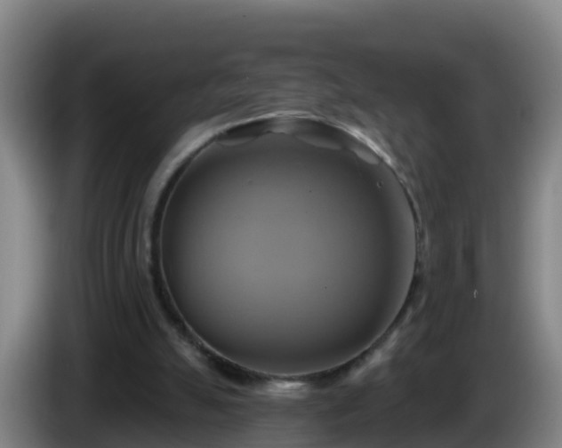 X0000086020055200703301041