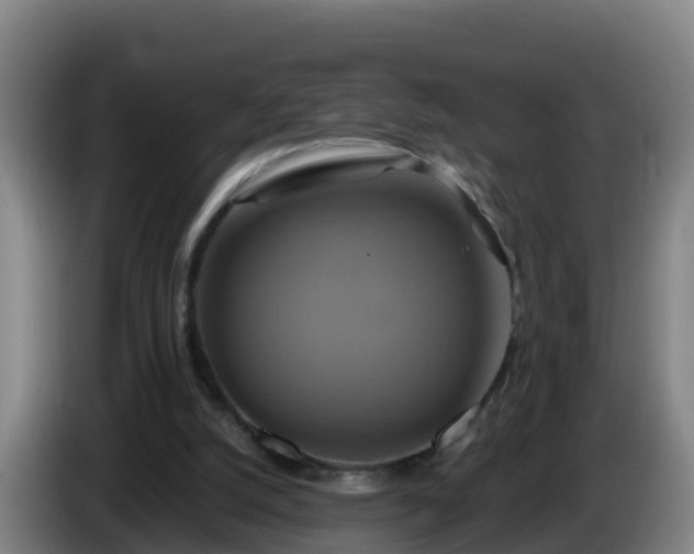 X0000086020056200703301041