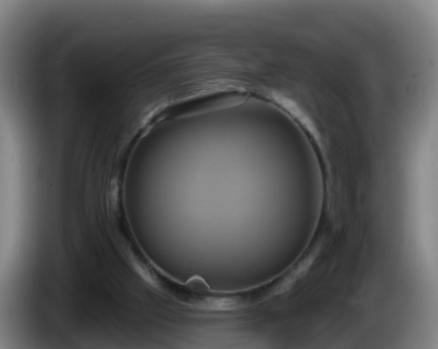 X0000086020057200703301041