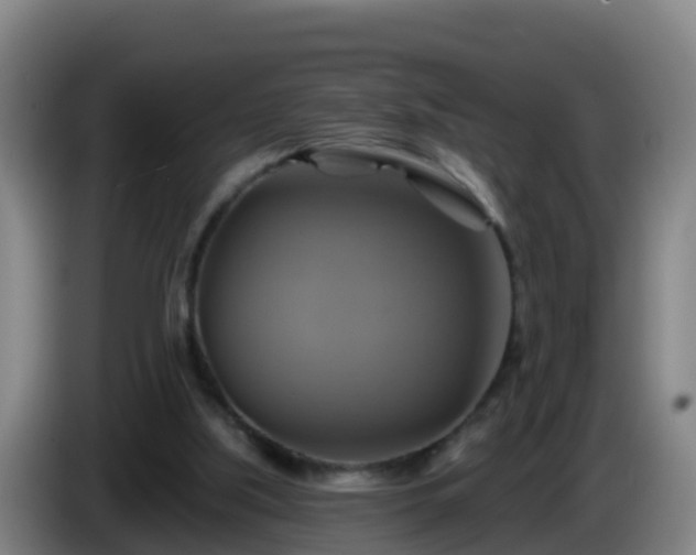 X0000086020059200703301041