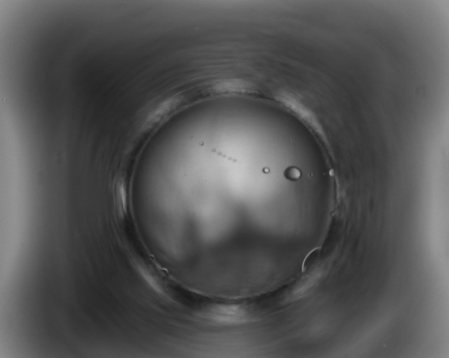 X0000086020061200703301041